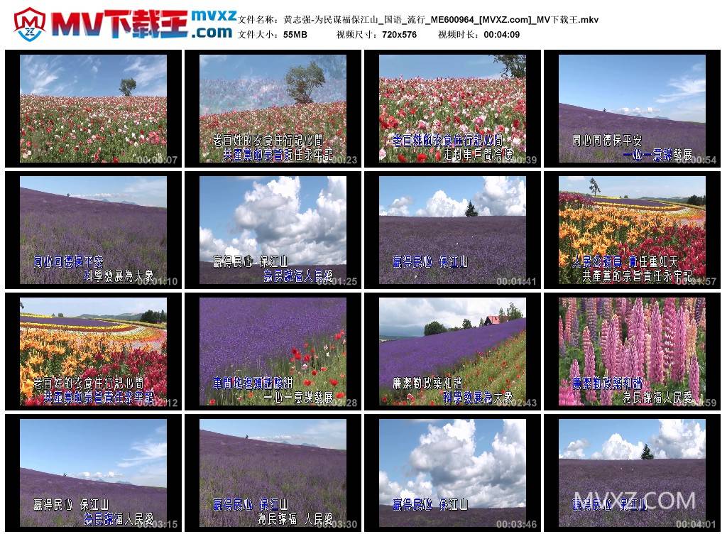 黄志强-为民谋福保江山_国语_流行_ME600964